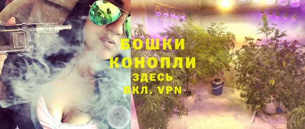 ешки Верхний Тагил